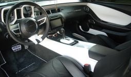 5th Generation Camaro Custom Painted Interior Door Panels